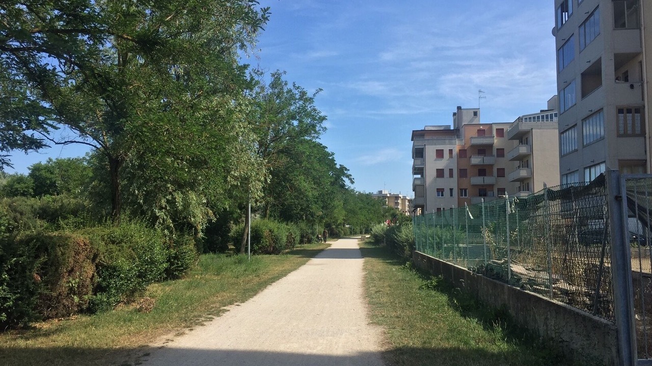 Photo of Others in Lido Adriano