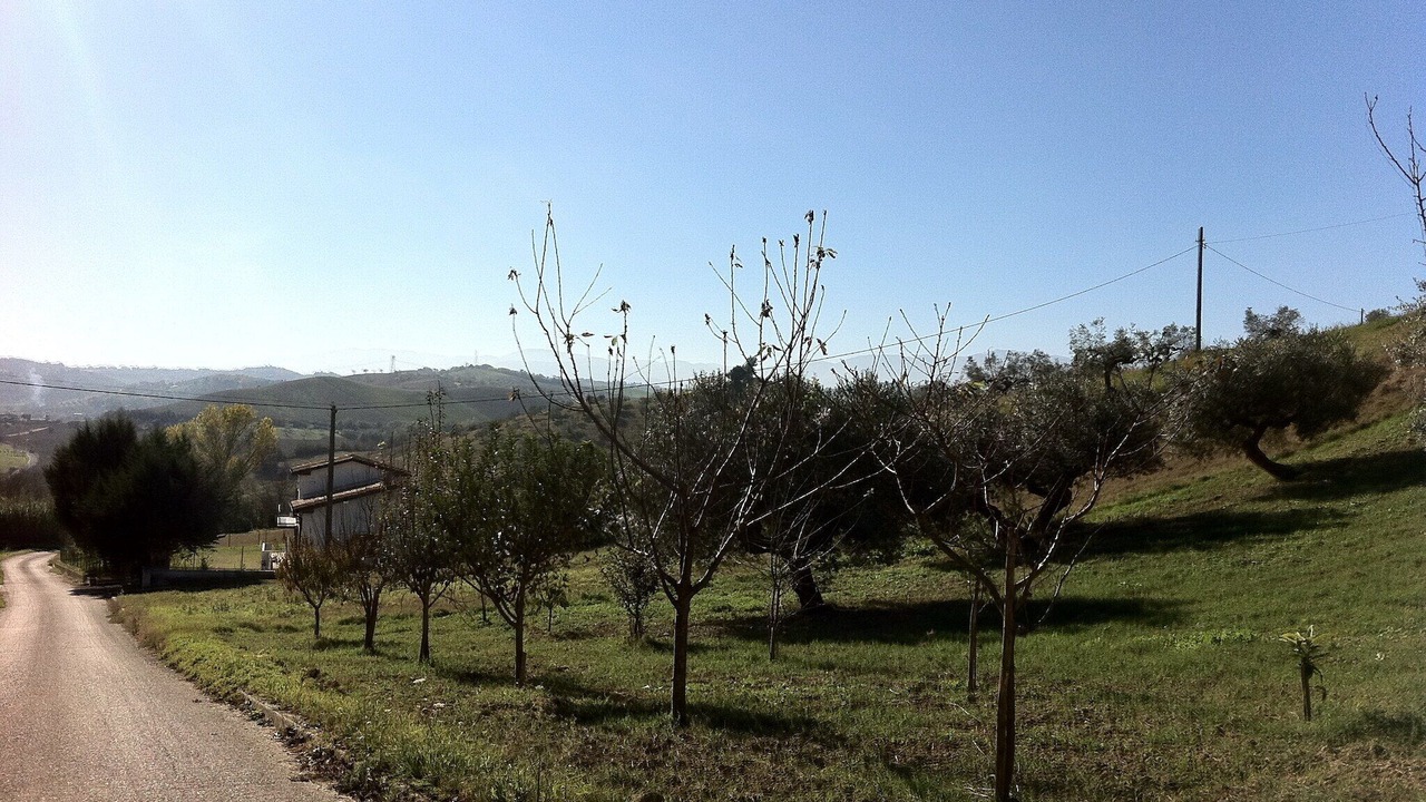 Photo of Others in Picciano