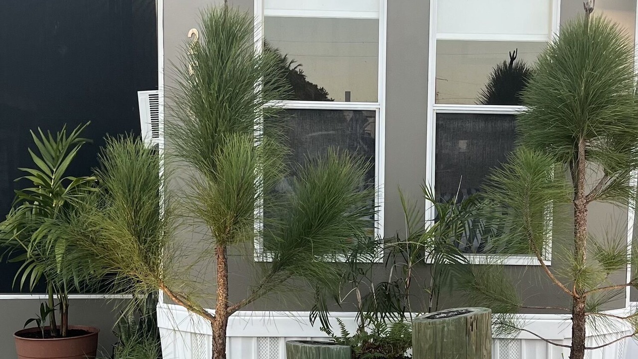 Photo of Outdoor in Key Largo Village
