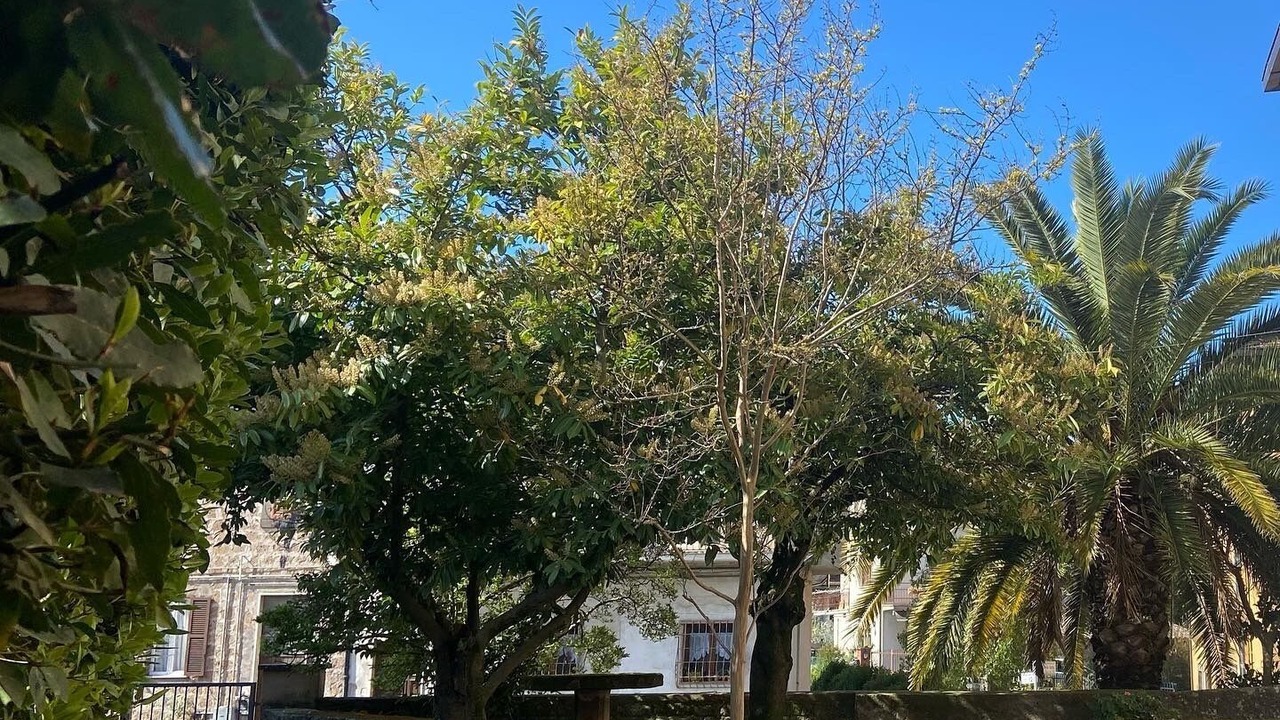 Photo of Outdoor in Vetralla