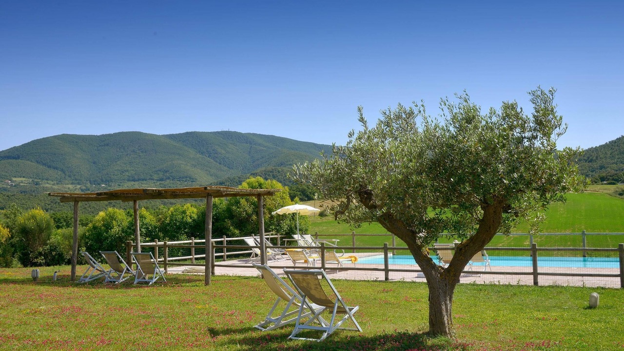 Photo of Outdoor in Bibbona