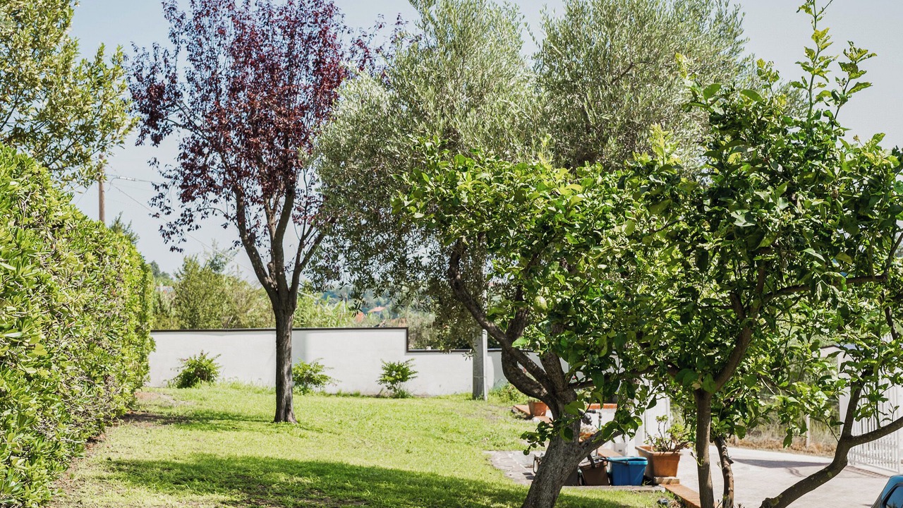 Photo of Outdoor in Ortona
