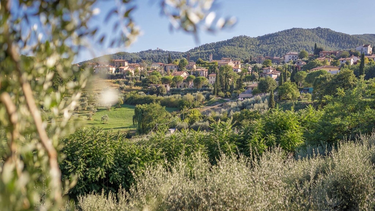 Photo of Others in Cetona