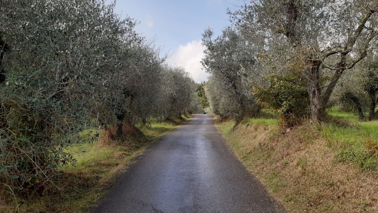 Photo of Outdoor in Figline e Incisa Valdarno