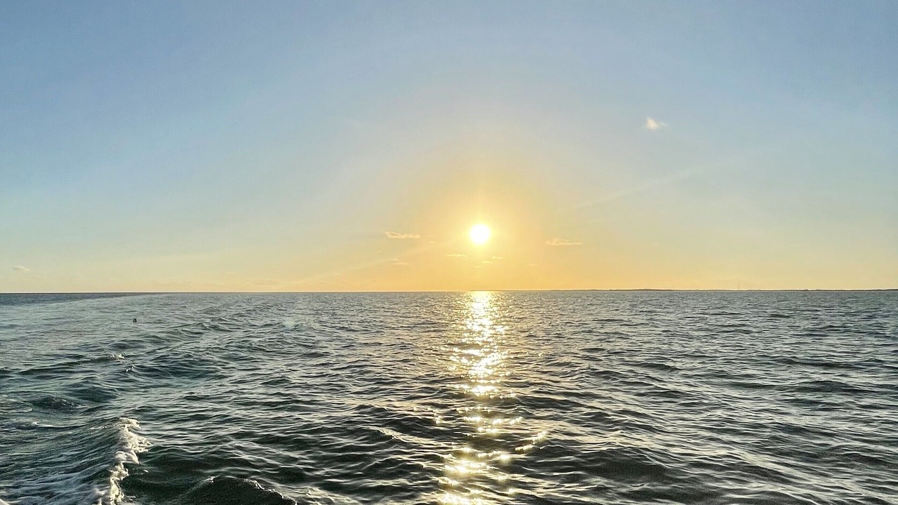 Photo of Others in Islamorada