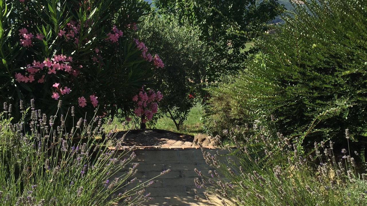 Photo of Outdoor in Monte San Martino