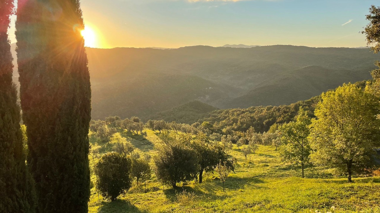 Photo of Outdoor in Micciano