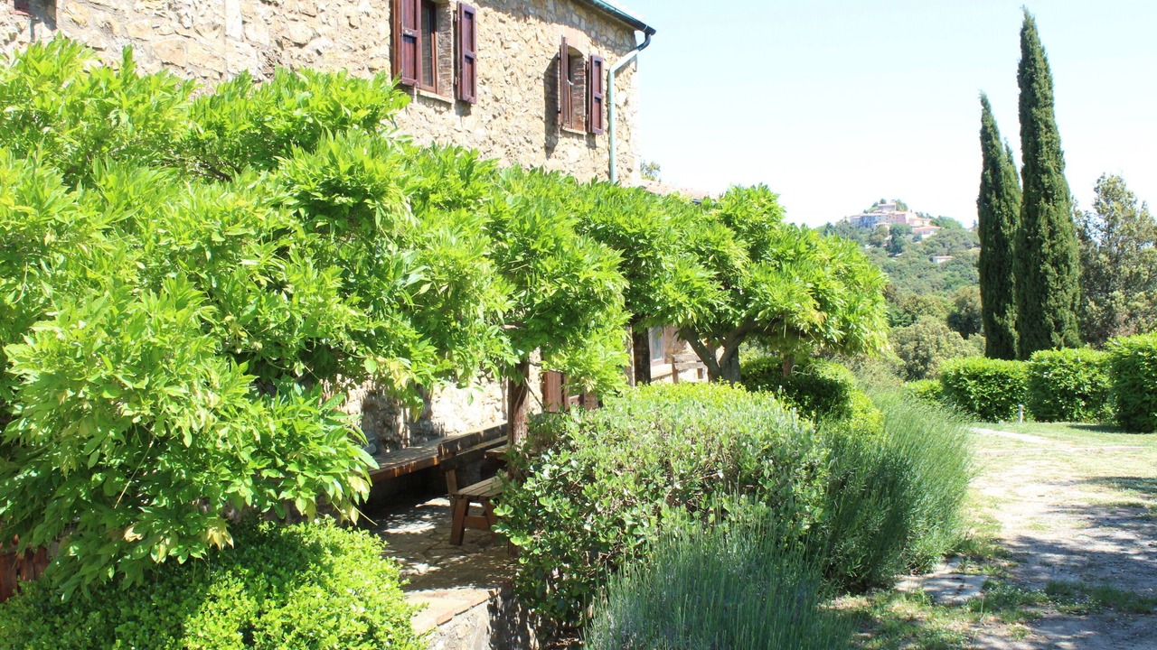 Photo of Outdoor in Micciano