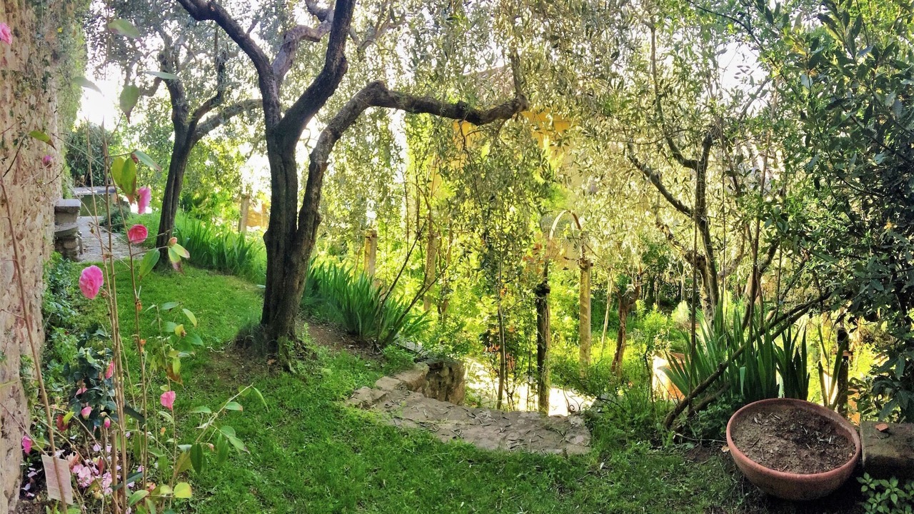 Photo of Outdoor in Cortona Old Town