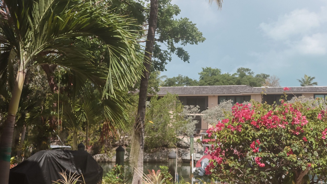 Photo of Outdoor in Key Largo
