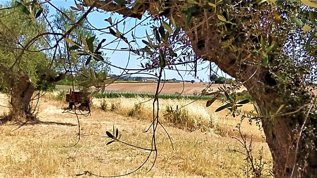 Photo of Outdoor in Citta Sant'Angelo