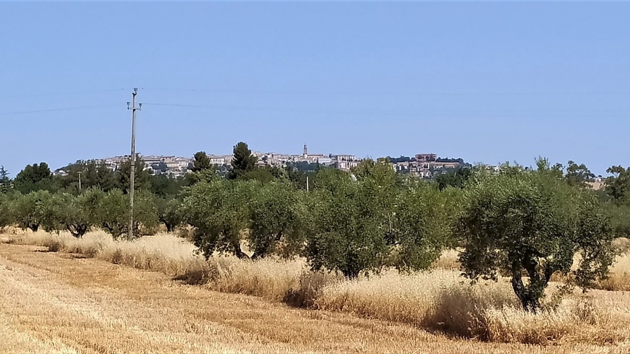 Photo of Outdoor in Citta Sant'Angelo