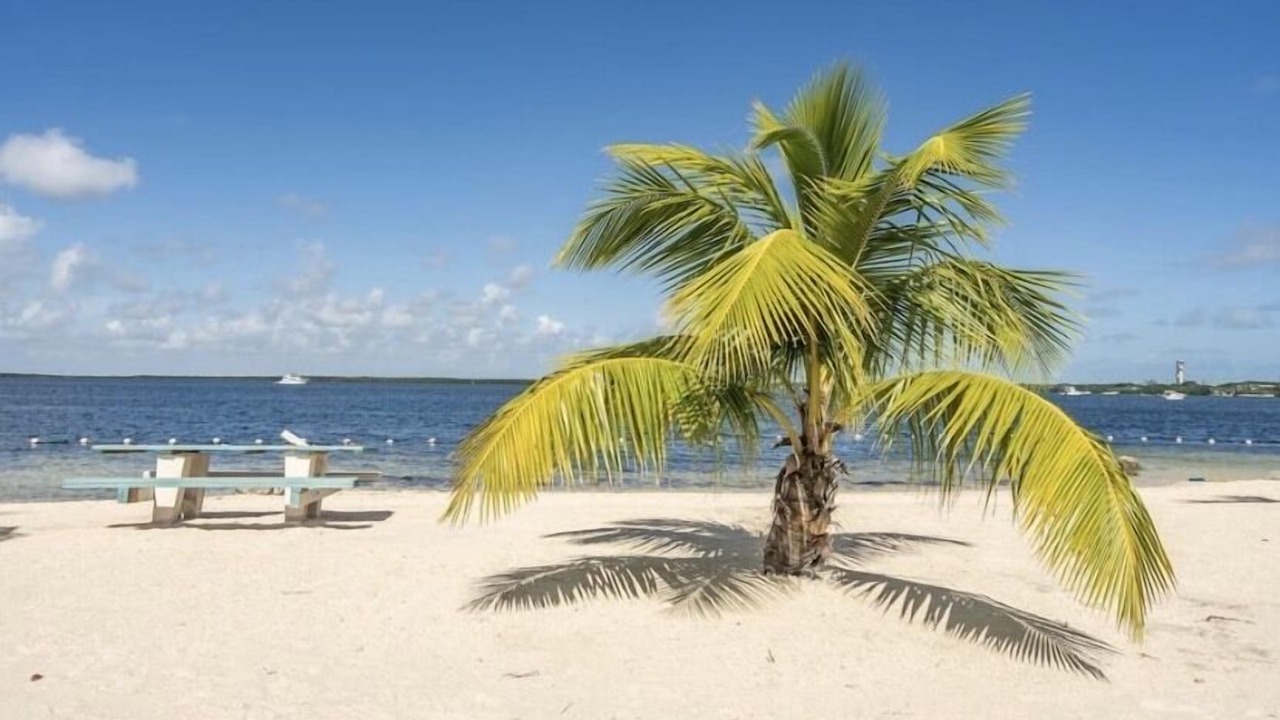 Photo of Others in Key Largo