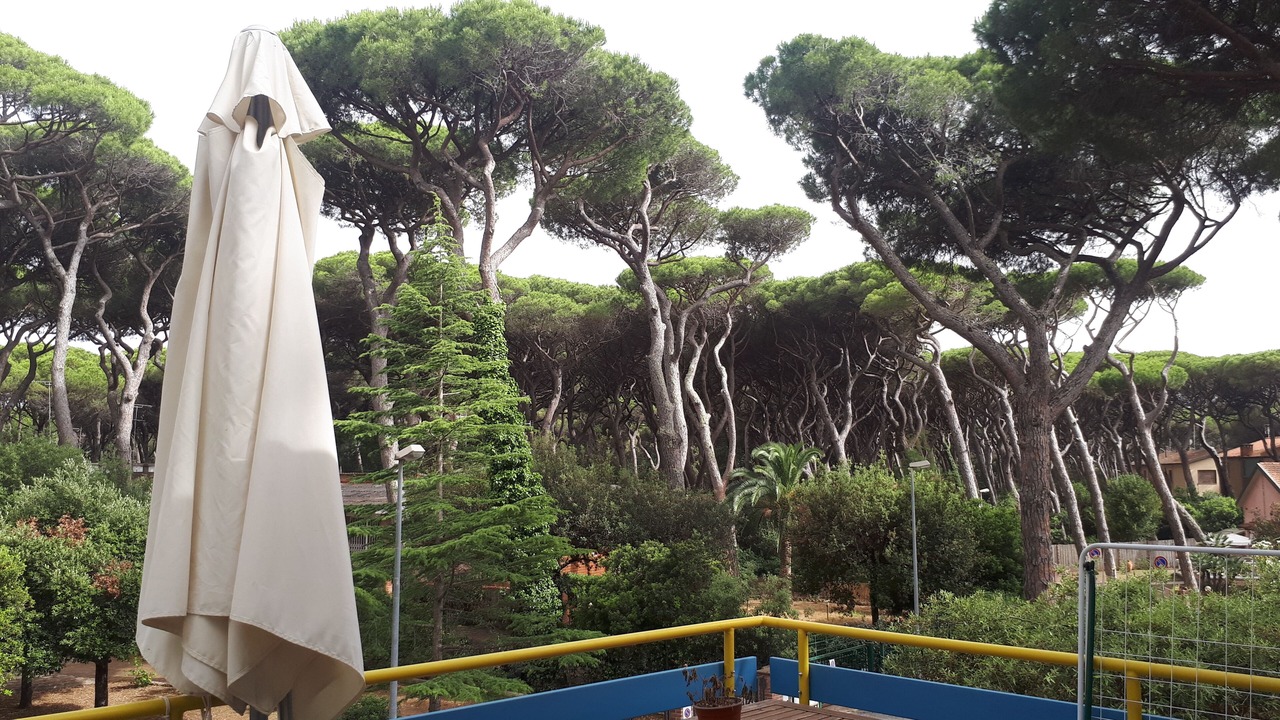 Photo of Outdoor in Marina di Castagneto Carducci