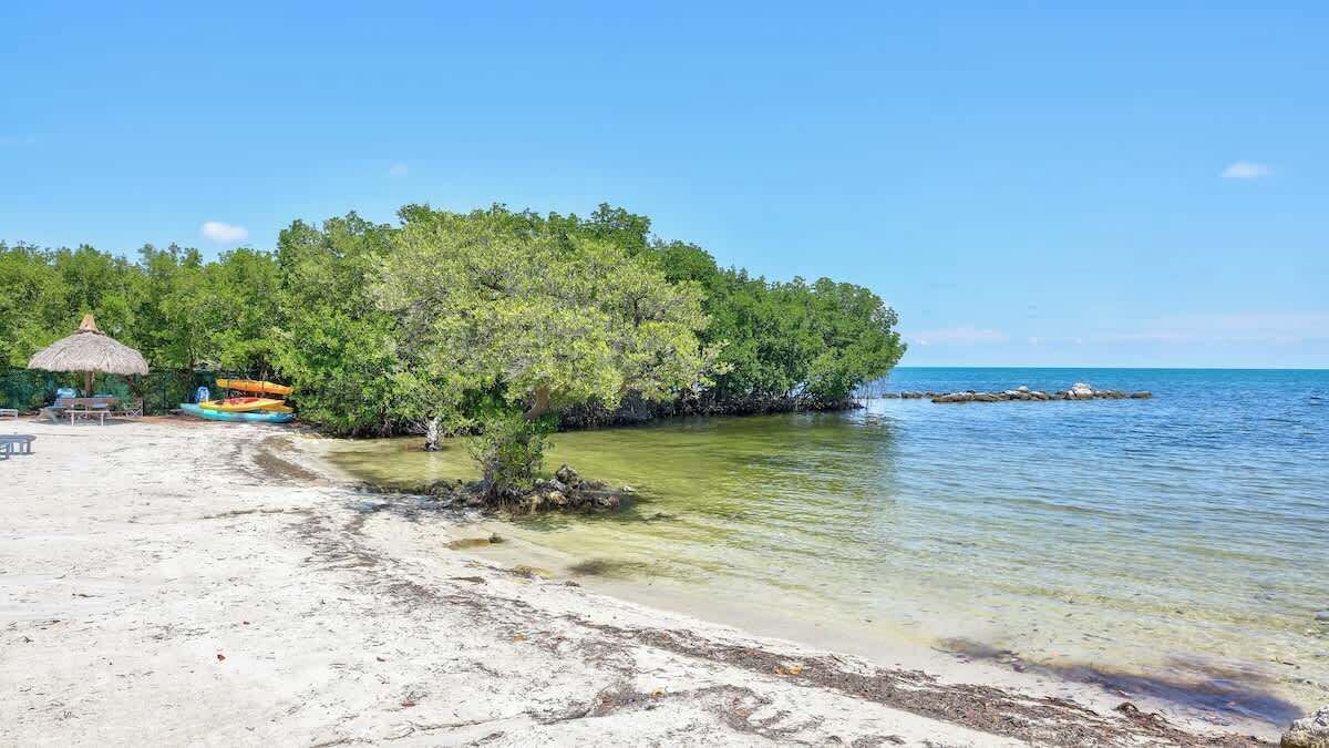 Photo of Others in Tavernier