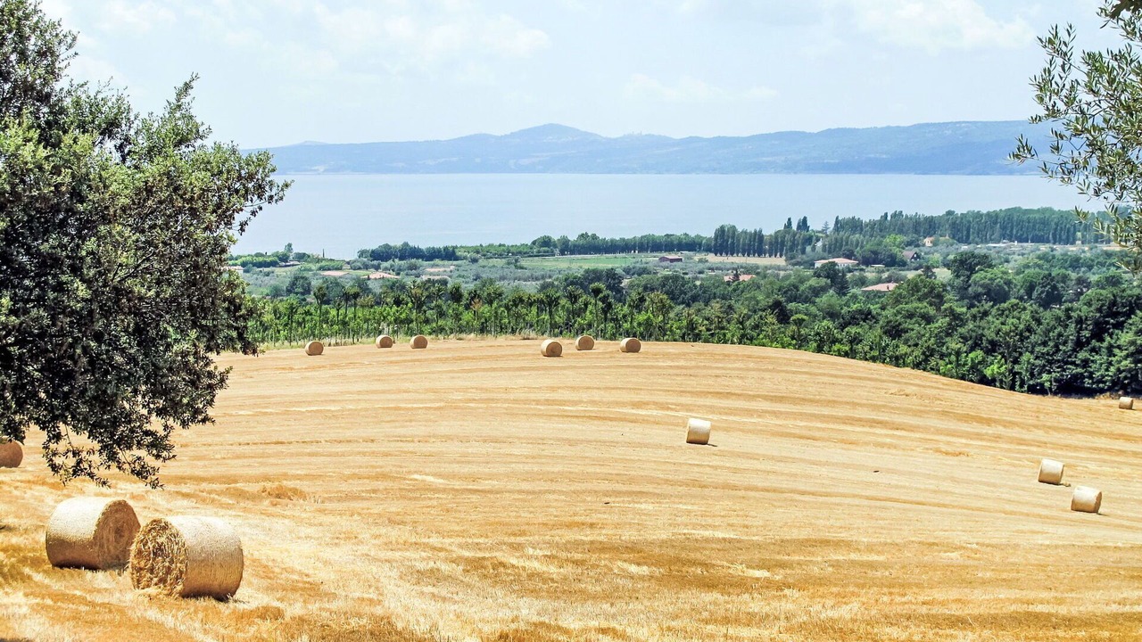 Photo of Others in Bolsena