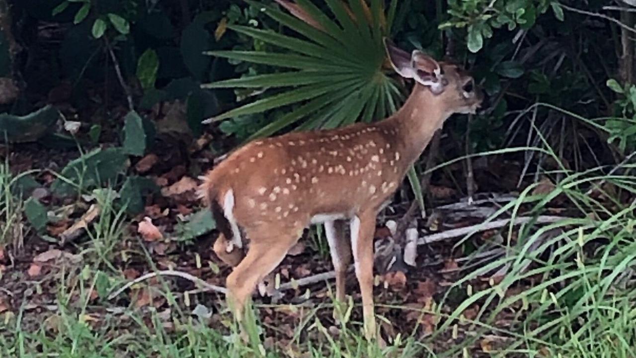 Photo of Outdoor in Eden Pines