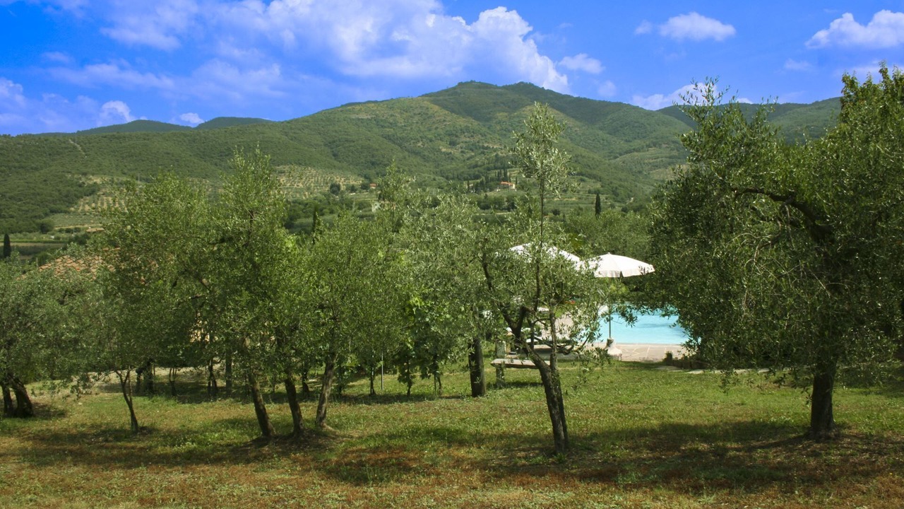 Photo of Others in Castiglion Fiorentino