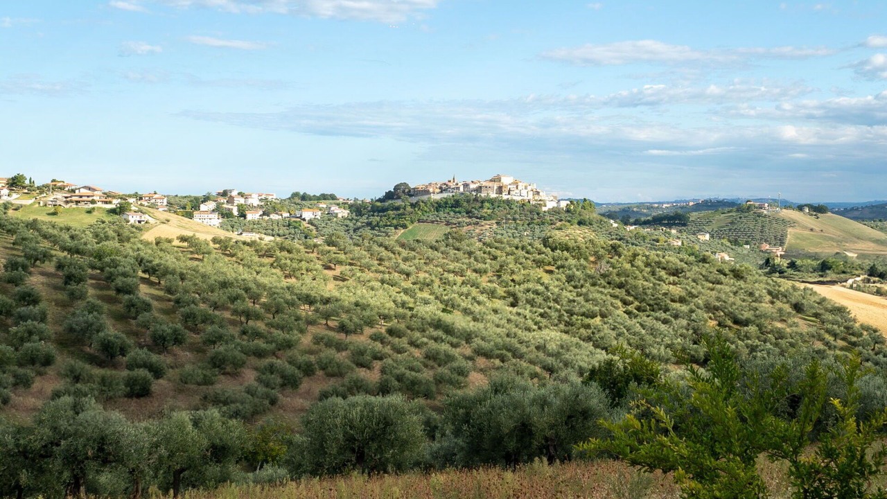 Photo of Others in Collecorvino