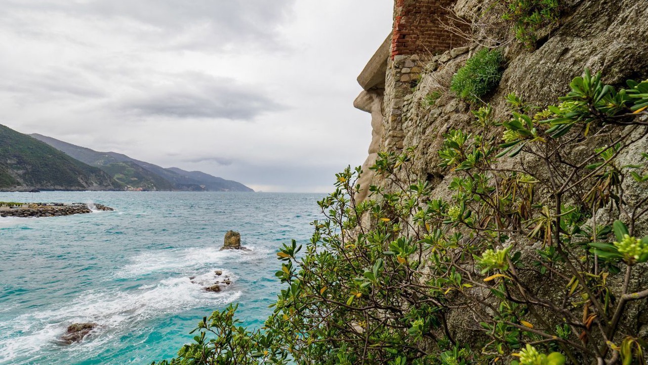 Photo of Others in Cinque Terre