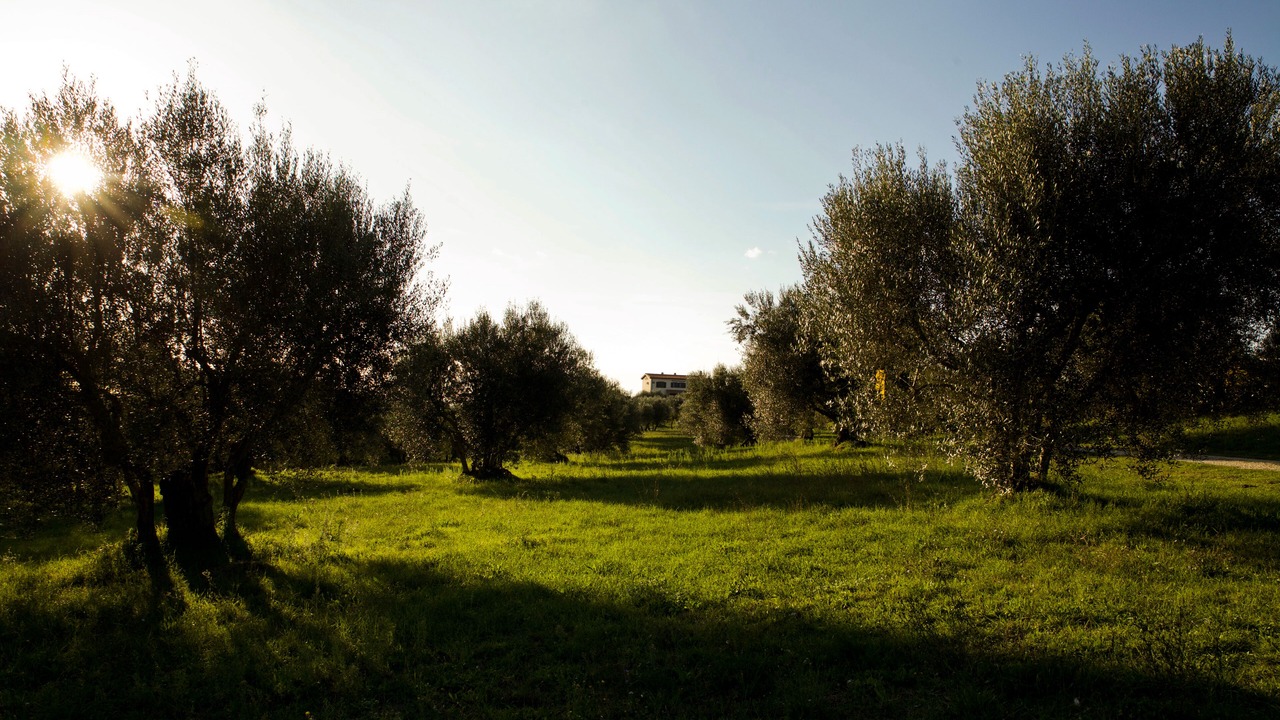 Photo of Others in Montefiascone