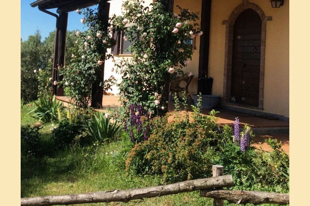 Photo of Outdoor in Montefiascone