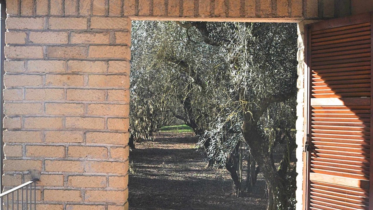 Photo of Outdoor in Capranica