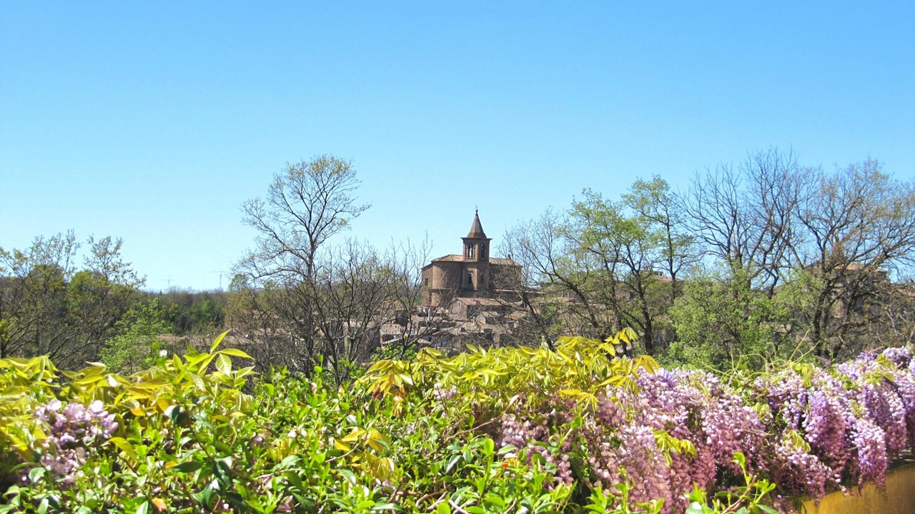 Photo of Others in Capranica
