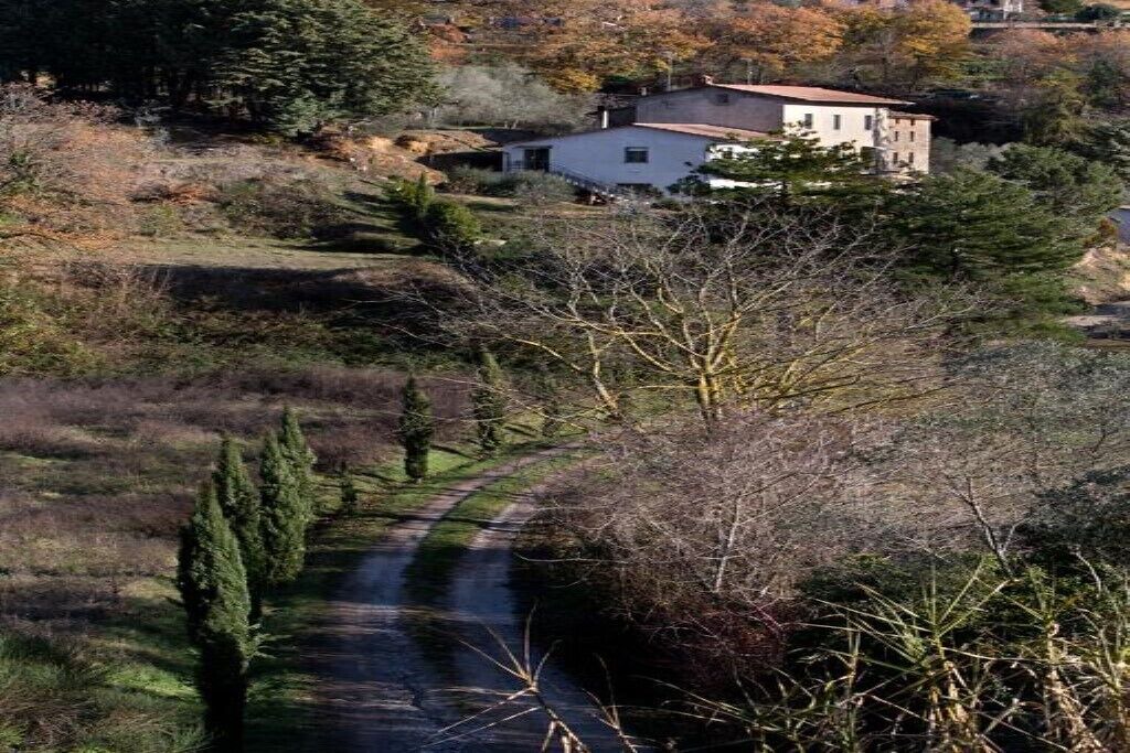 Photo of Outdoor in Ficulle