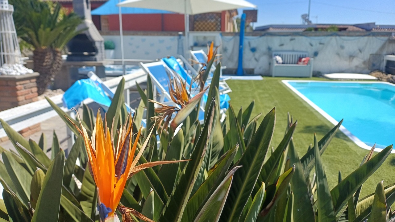 Photo of Outdoor in Anzio