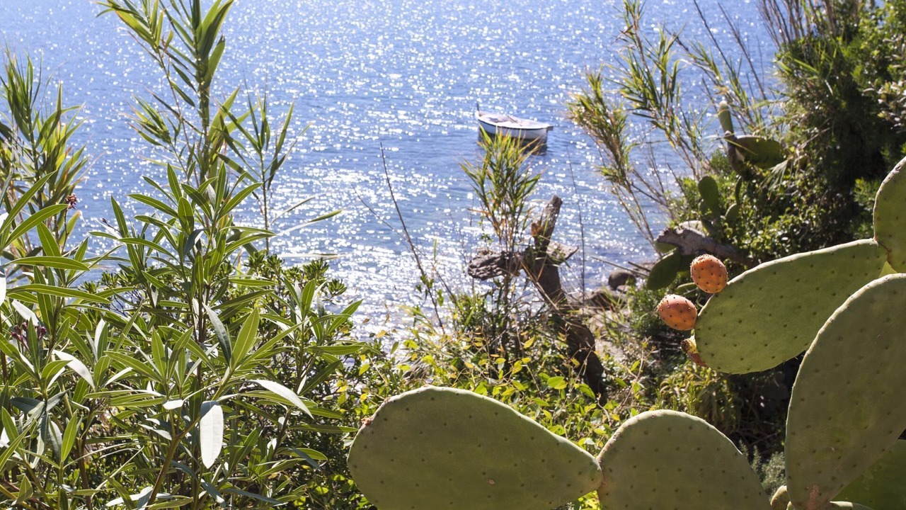 Photo of Outdoor in Scaglieri