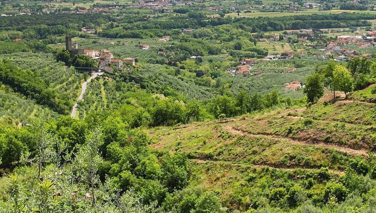 Photo of Outdoor in Giugnano