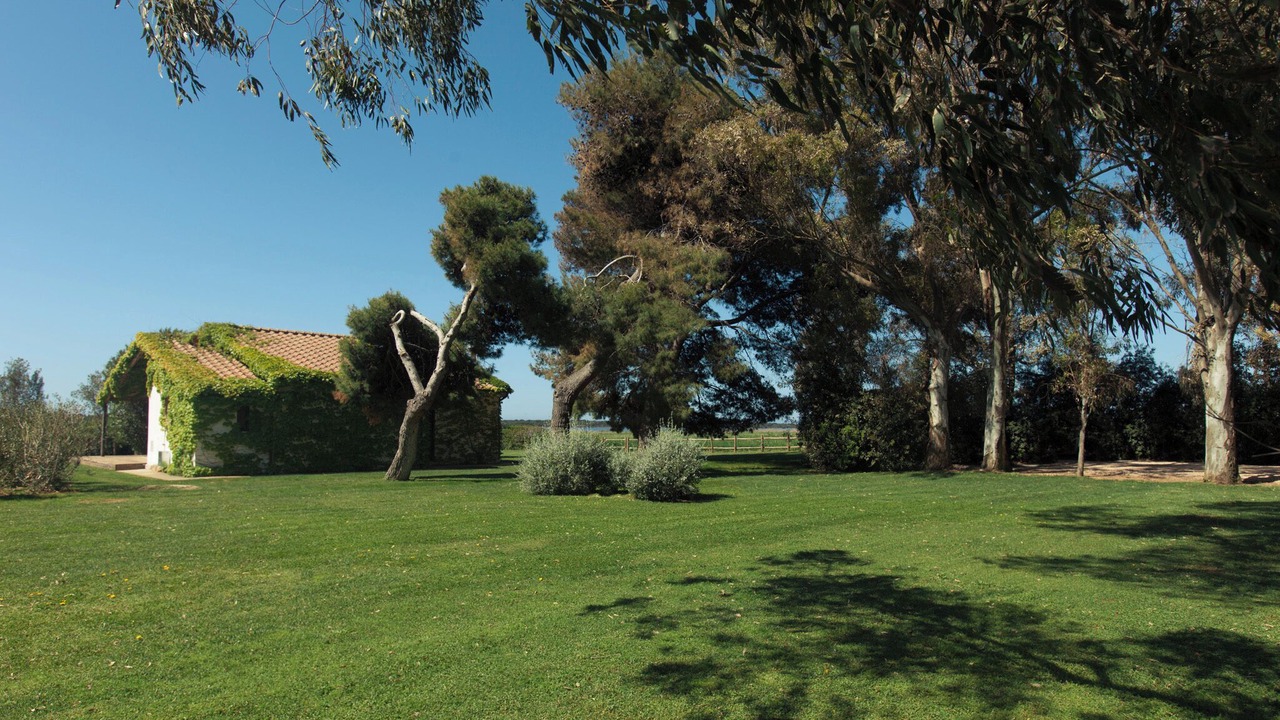 Photo of Outdoor in Capalbio