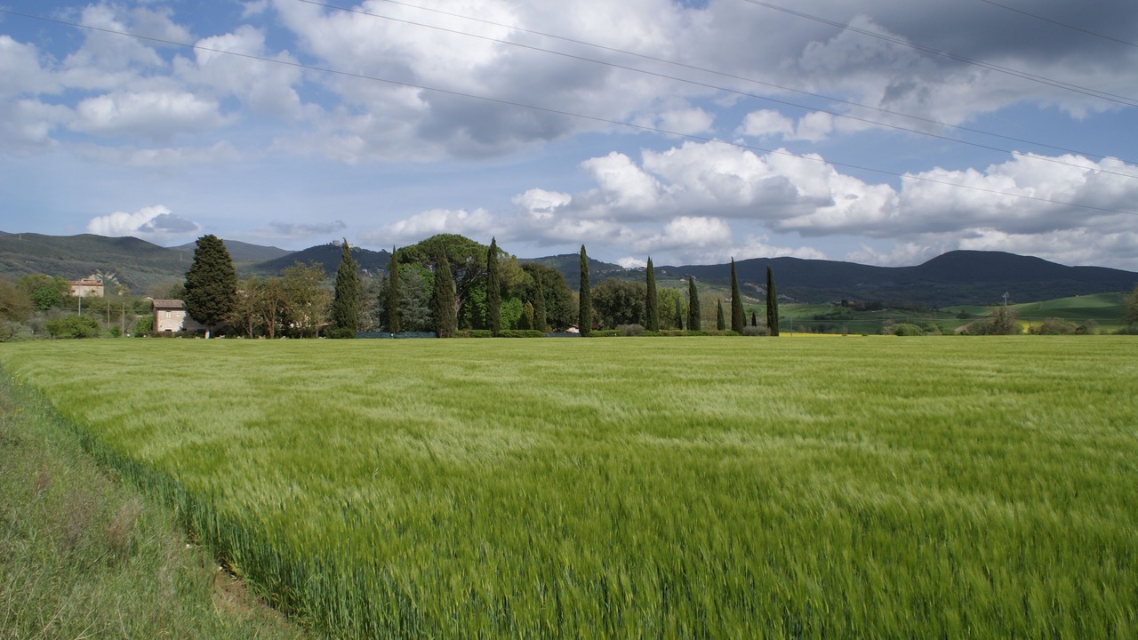 Photo of Others in Montecchio