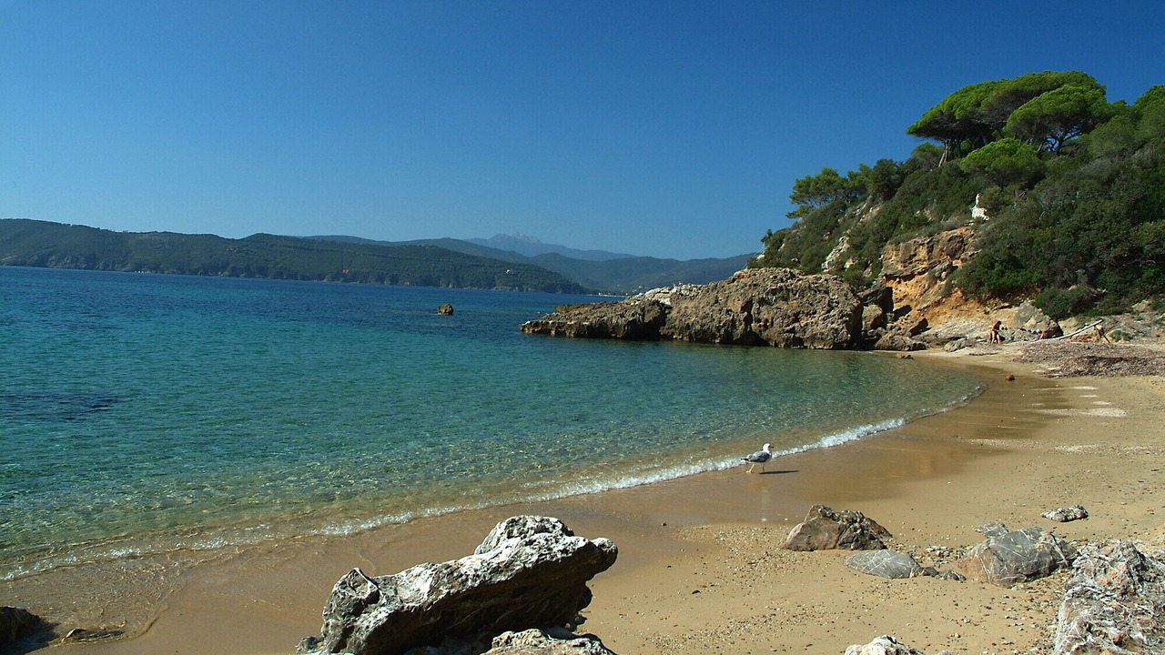 Photo of Others in Portoferraio