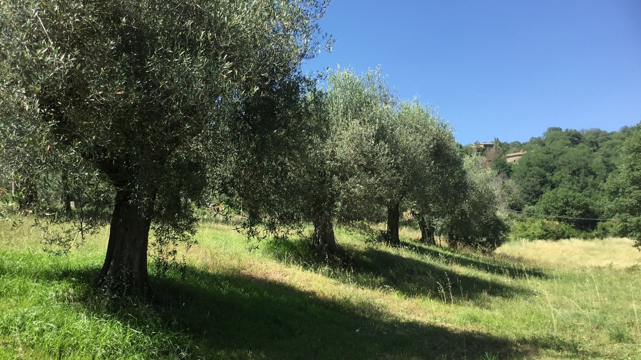 Photo of Outdoor in Bivio Lugnano