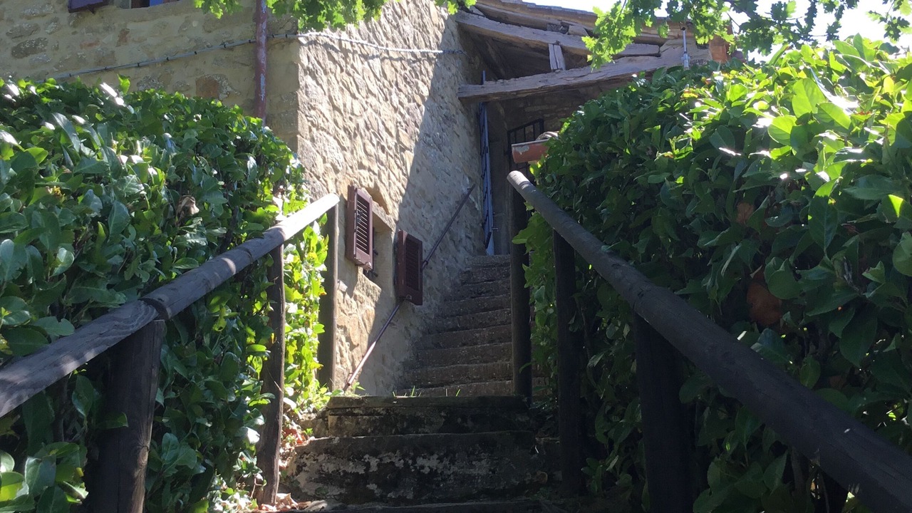 Photo of Outdoor in Bivio Lugnano