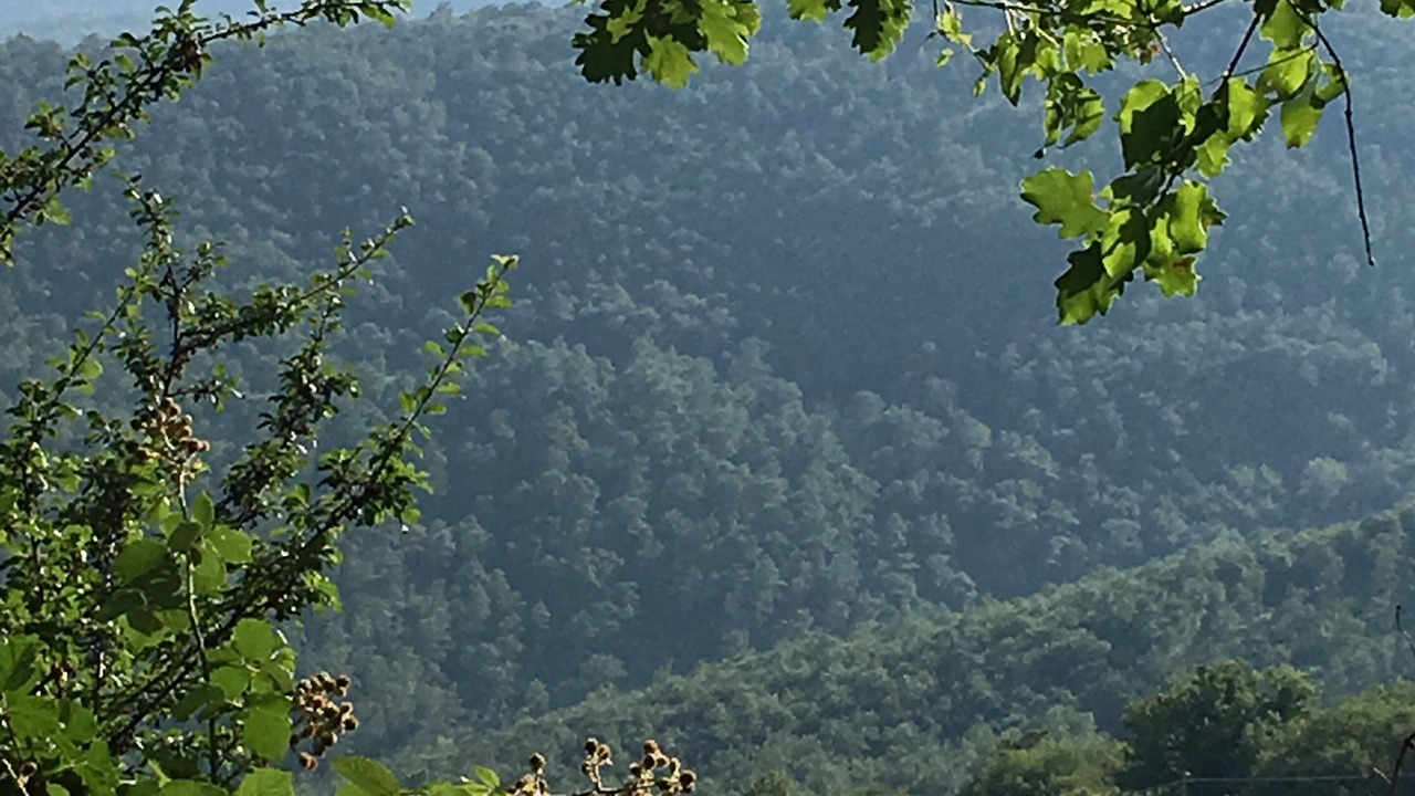 Photo of Outdoor in Bivio Lugnano