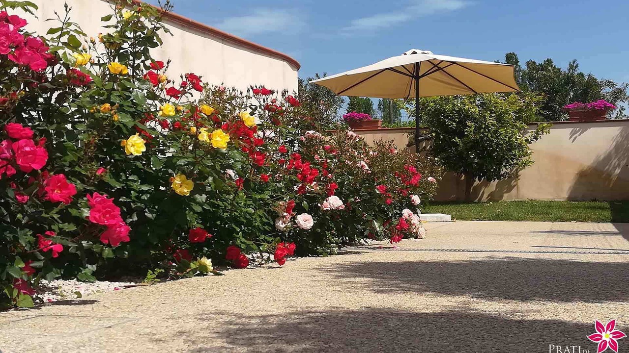 Photo of Outdoor in Miglianico