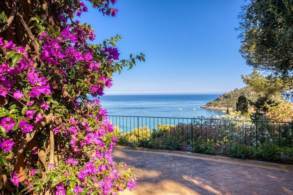 Photo of Others in Porto Ercole