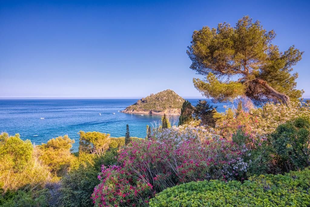 Photo of Others in Porto Ercole