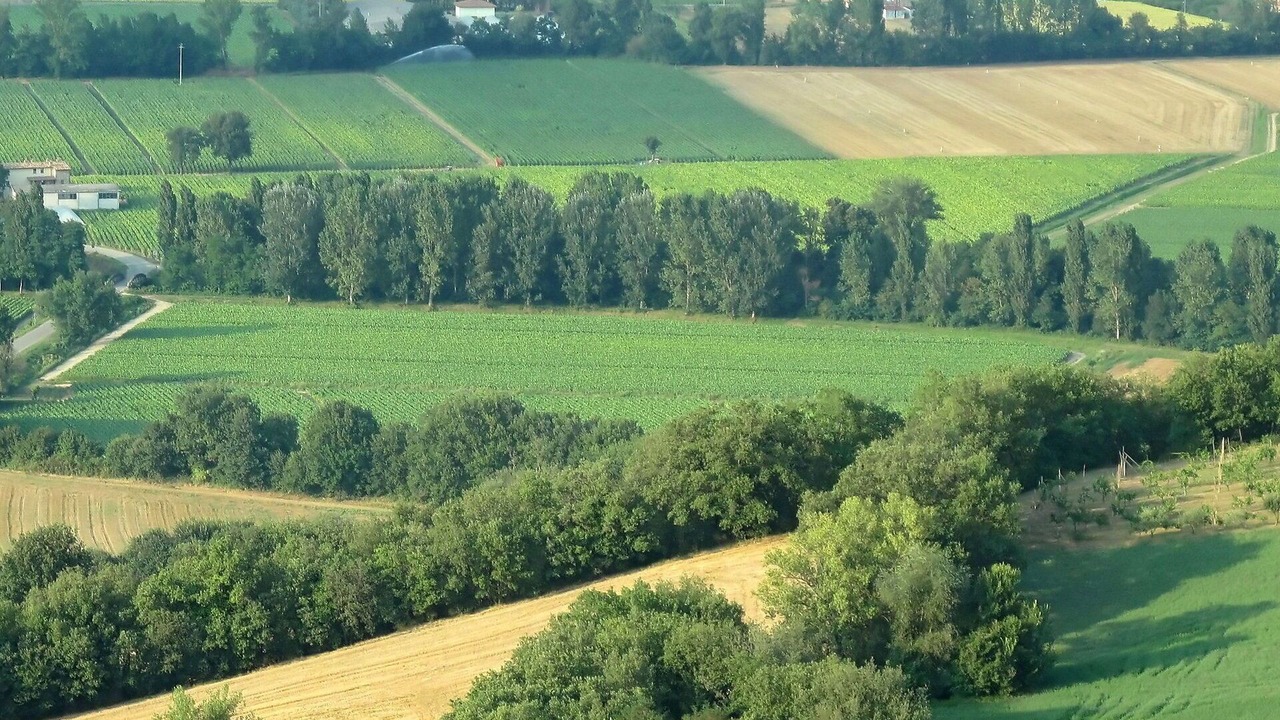 Photo of Others in Citerna