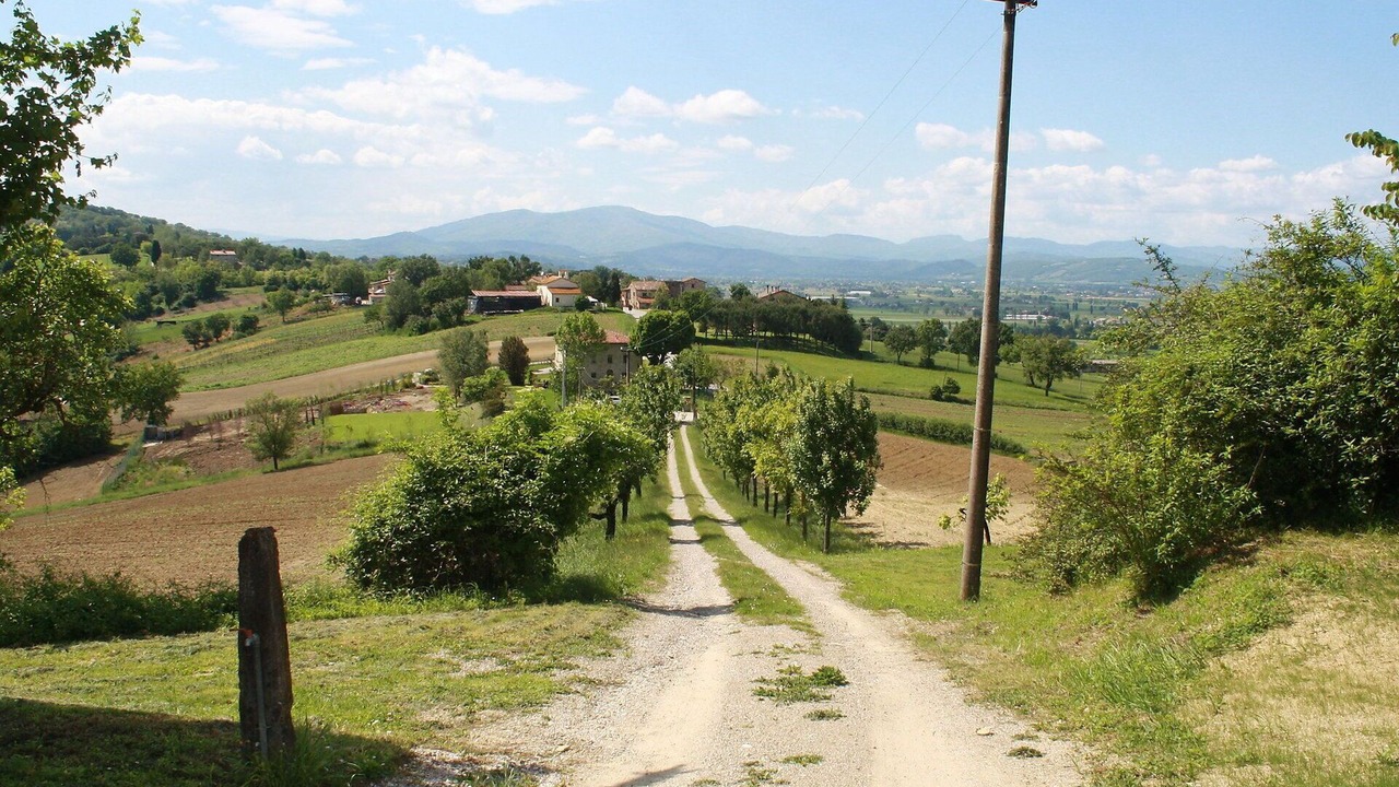 Photo of Others in Citerna