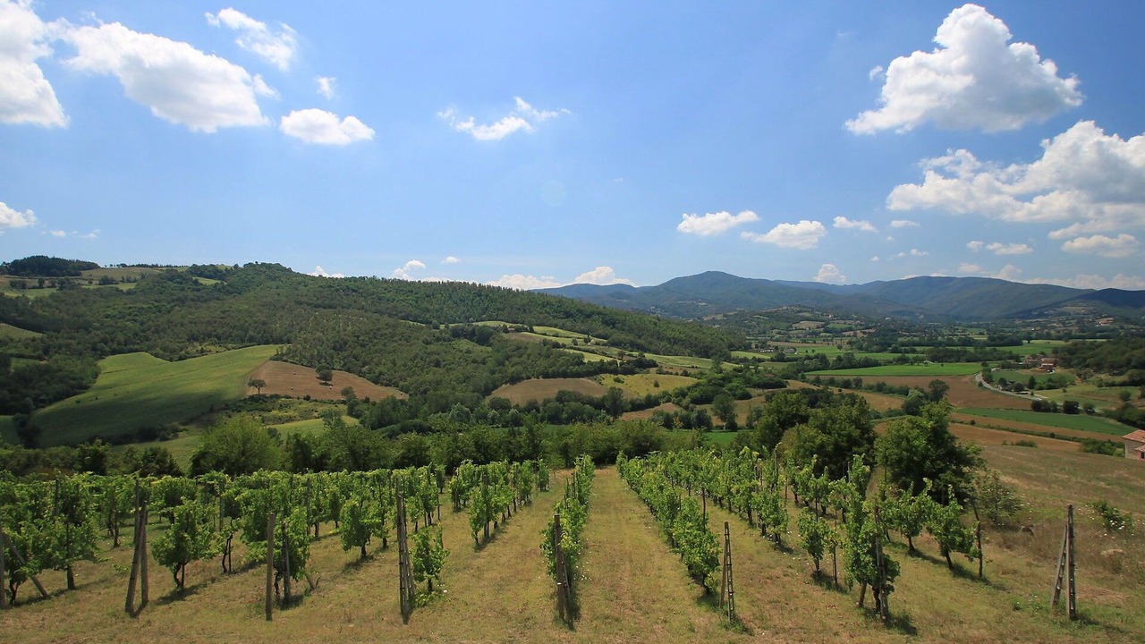 Photo of Others in Citerna