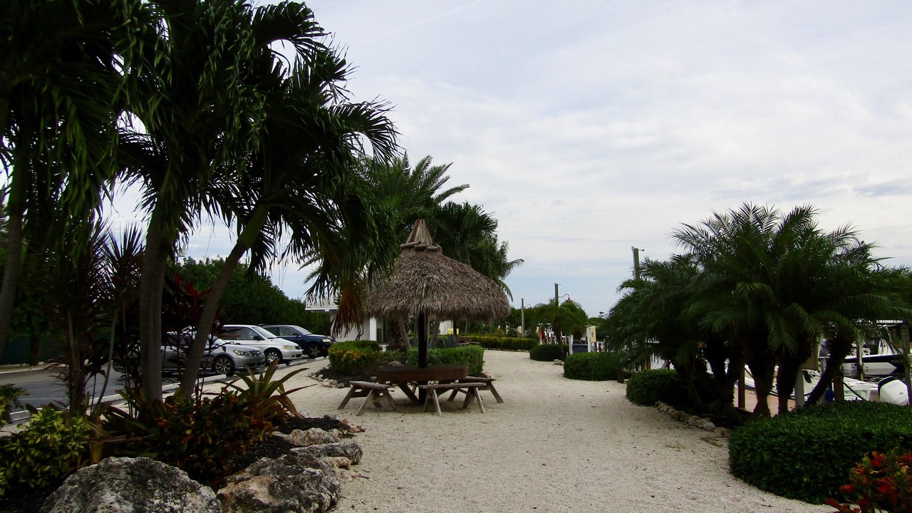 Photo of Outdoor in Tavernier