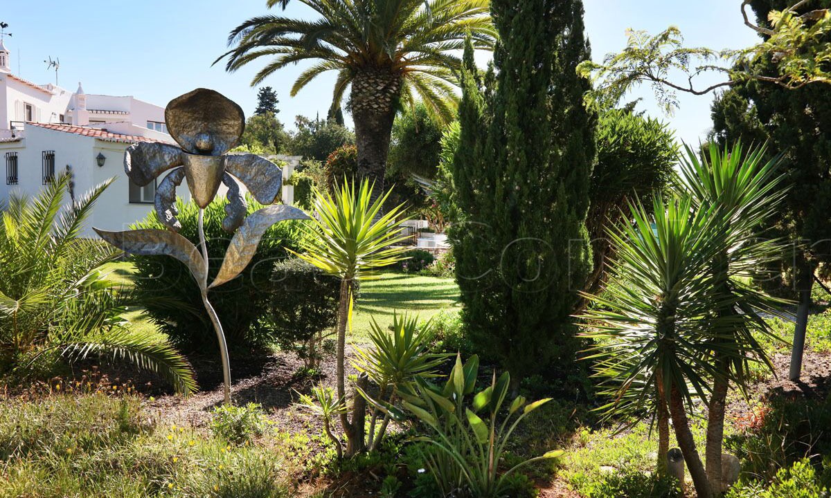 Photo of Outdoor in Calicas