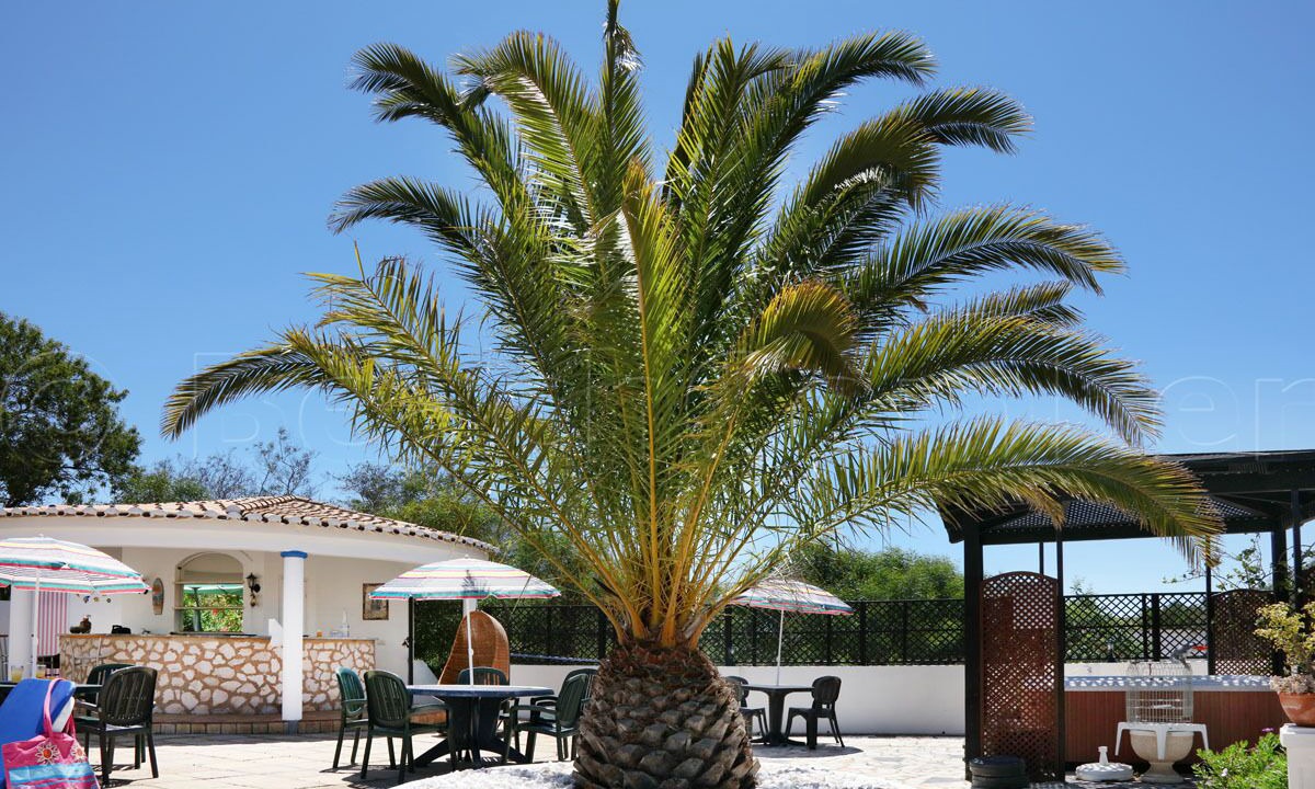 Photo of Outdoor in Calicas