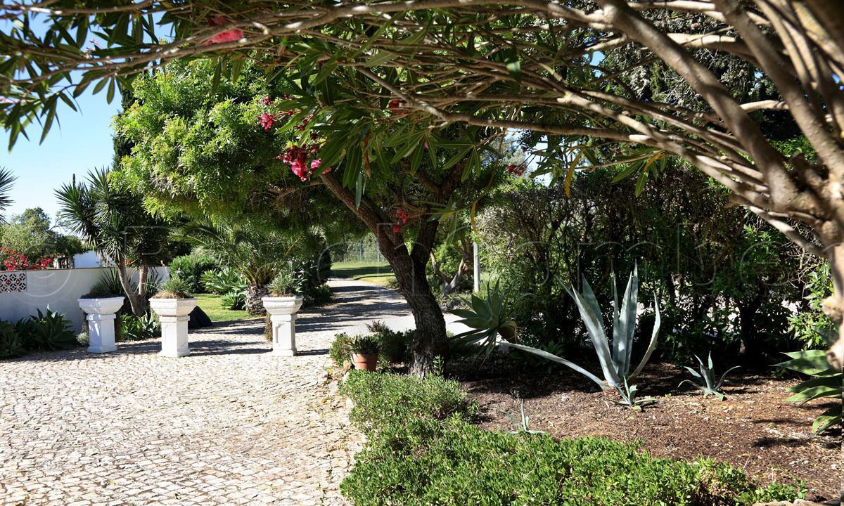 Photo of Outdoor in Calicas