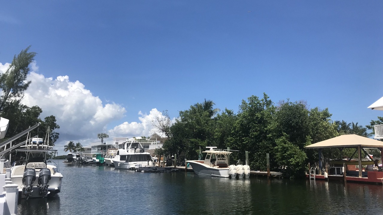 Photo of Others in Pirates Cove