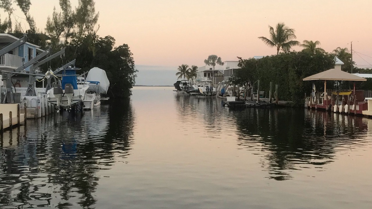 Photo of Others in Pirates Cove